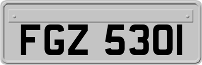 FGZ5301