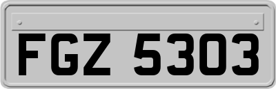 FGZ5303