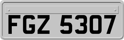 FGZ5307