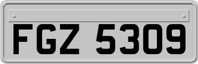 FGZ5309
