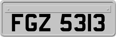 FGZ5313