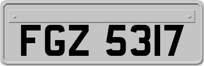 FGZ5317