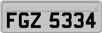FGZ5334