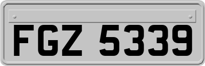 FGZ5339
