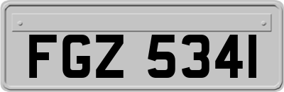 FGZ5341