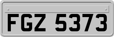 FGZ5373