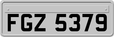 FGZ5379