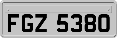 FGZ5380