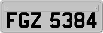FGZ5384