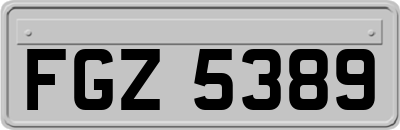 FGZ5389