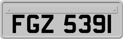 FGZ5391