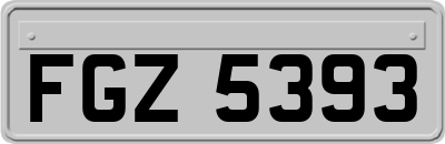 FGZ5393