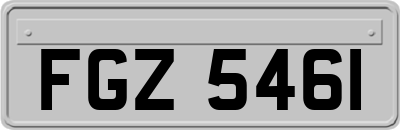 FGZ5461