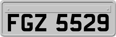 FGZ5529