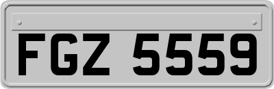 FGZ5559
