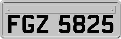 FGZ5825
