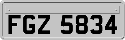 FGZ5834