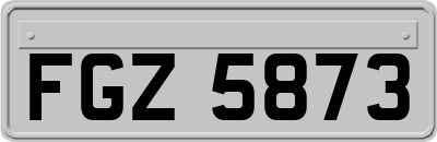 FGZ5873