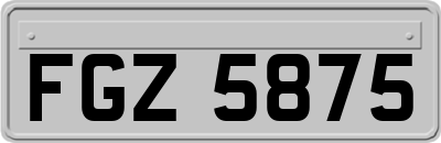 FGZ5875