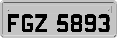 FGZ5893