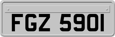 FGZ5901