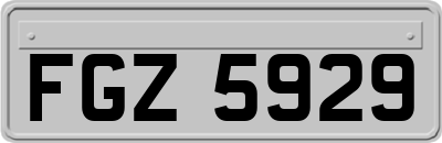 FGZ5929