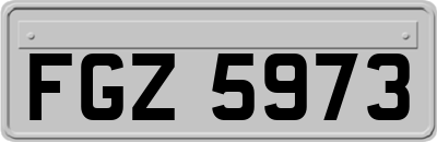 FGZ5973