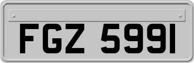 FGZ5991