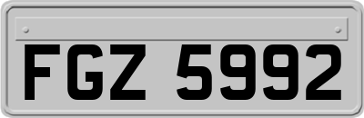 FGZ5992
