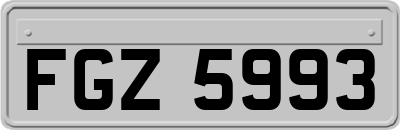 FGZ5993