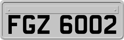FGZ6002