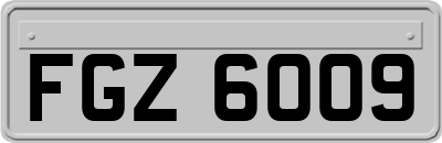 FGZ6009