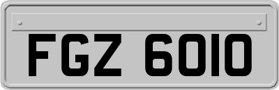 FGZ6010