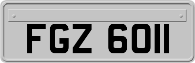 FGZ6011