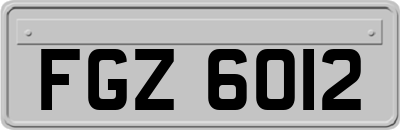 FGZ6012