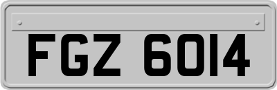 FGZ6014