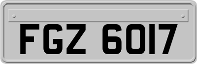 FGZ6017