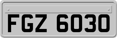 FGZ6030
