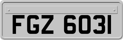 FGZ6031