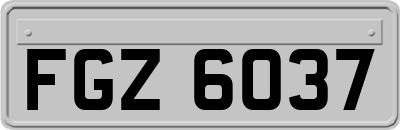 FGZ6037