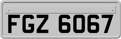 FGZ6067