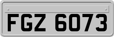 FGZ6073