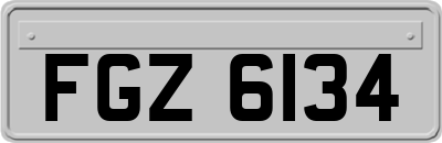 FGZ6134