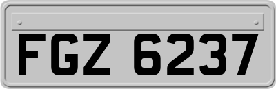 FGZ6237
