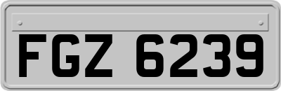FGZ6239
