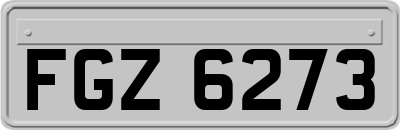 FGZ6273