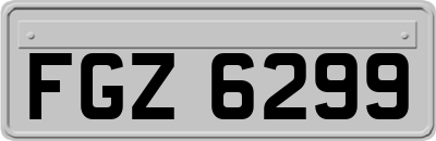 FGZ6299