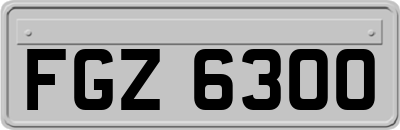 FGZ6300
