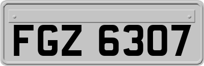 FGZ6307