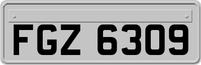 FGZ6309